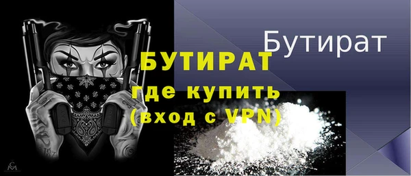 индика Богородицк