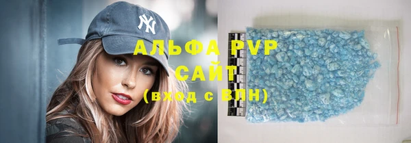 индика Богородицк