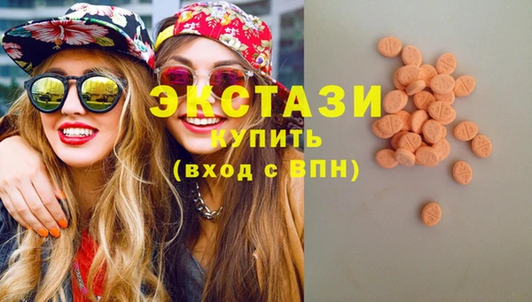 индика Богородицк