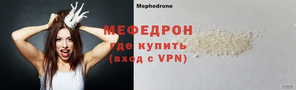 индика Богородицк