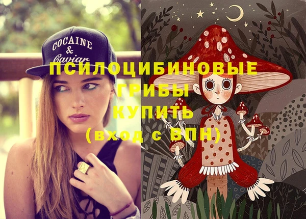 метадон Богородск