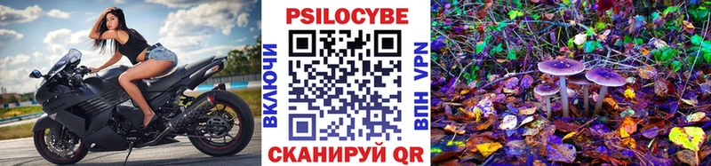 Галлюциногенные грибы Psilocybe  Купить  Кимры 